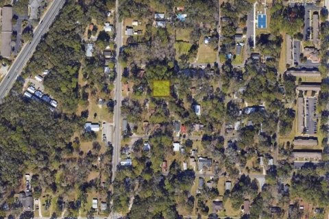 Land in Gainesville, Florida № 1657055 - photo 4