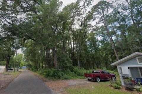 Land in Gainesville, Florida № 1657055 - photo 3