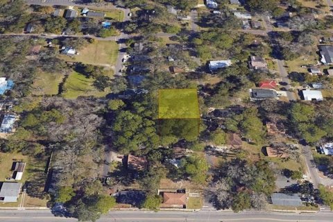 Land in Gainesville, Florida № 1657055 - photo 7