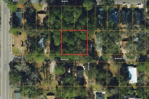Land in Gainesville, Florida № 1657055 - photo 2