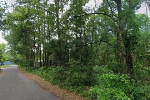 Land in Gainesville, Florida № 1657055 - photo 1