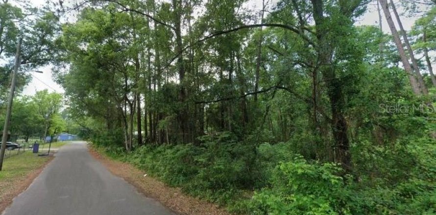 Land in Gainesville, Florida № 1657055
