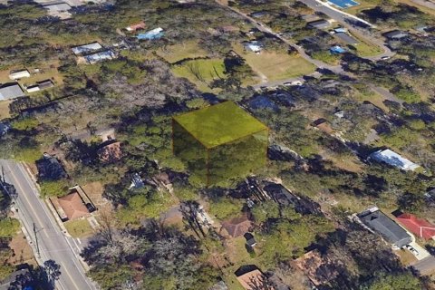 Land in Gainesville, Florida № 1657055 - photo 5