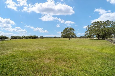 Land in Wildwood, Florida № 2424187 - photo 14