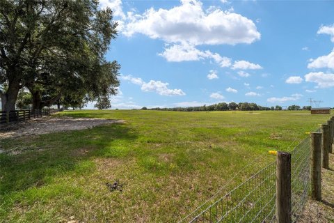 Land in Wildwood, Florida № 2424187 - photo 10