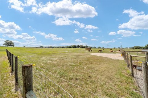 Land in Wildwood, Florida № 2424187 - photo 12