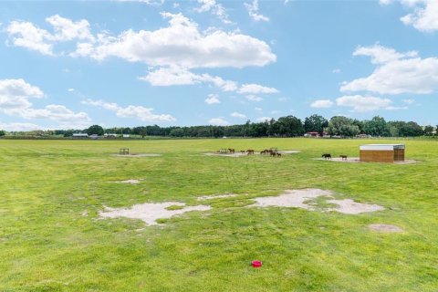 Land in Wildwood, Florida № 2424187 - photo 3