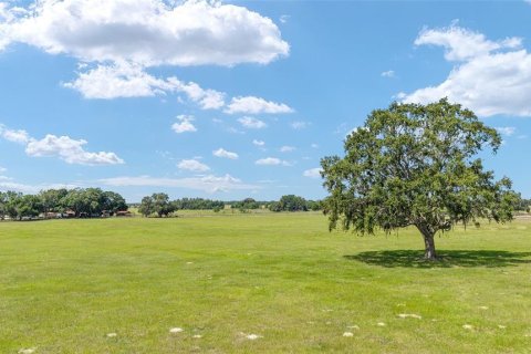 Land in Wildwood, Florida № 2424187 - photo 2