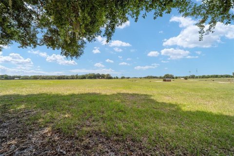 Land in Wildwood, Florida № 2424187 - photo 13