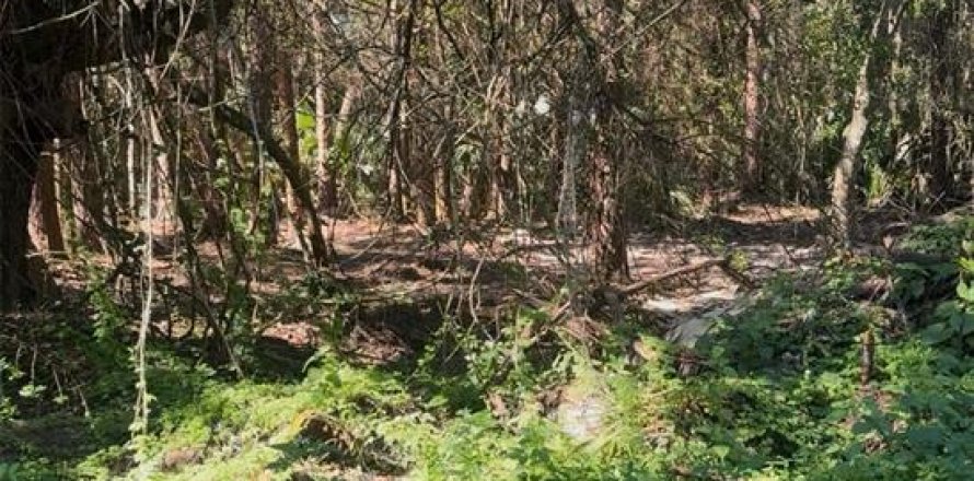 Land in Branford, Florida № 2160654