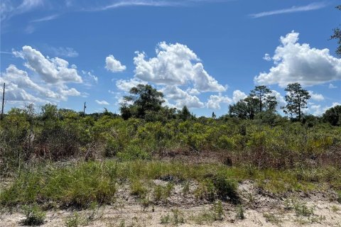 Terrain à vendre à Dunnellon, Floride № 2239462 - photo 3