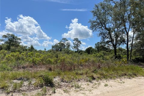 Terrain à vendre à Dunnellon, Floride № 2239462 - photo 2