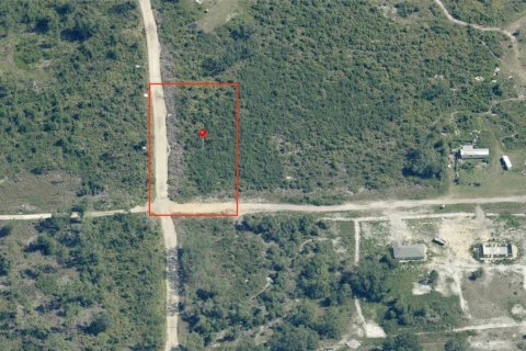 Terrain à vendre à Dunnellon, Floride № 2239462 - photo 5