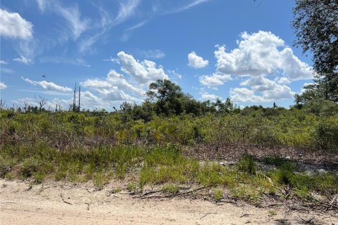 Terrain à Dunnellon, Floride № 2239462