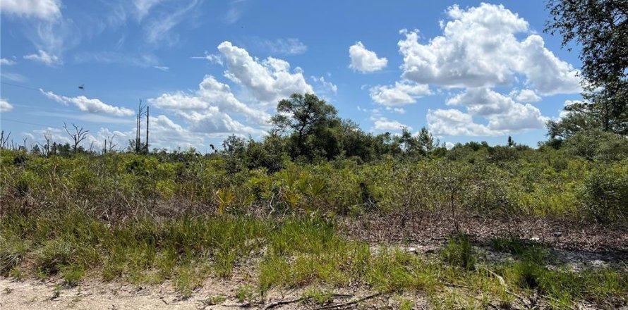 Terrain à Dunnellon, Floride № 2239462