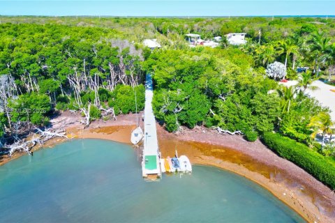 Casa en venta en Marathon, Florida, 5 dormitorios № 2071944 - foto 8
