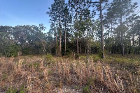 Land in Dunnellon, Florida № 2159468 - photo 2