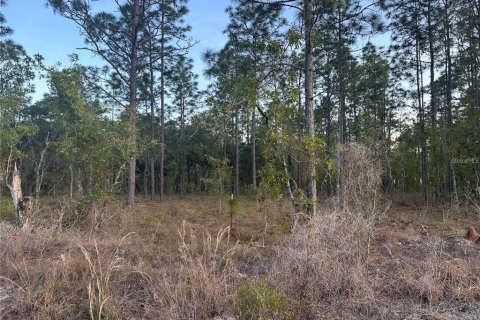 Land in Dunnellon, Florida № 2159468