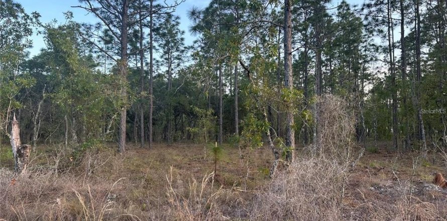 Land in Dunnellon, Florida № 2159468