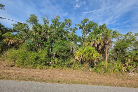 Land in Port Charlotte, Florida № 2159011 - photo 5