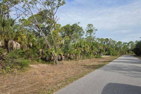Land in Port Charlotte, Florida № 2159011 - photo 8