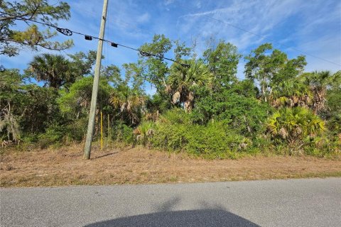 Land in Port Charlotte, Florida № 2159011 - photo 4