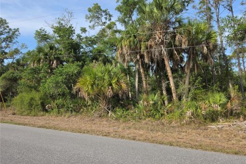 Land in Port Charlotte, Florida № 2159011 - photo 6