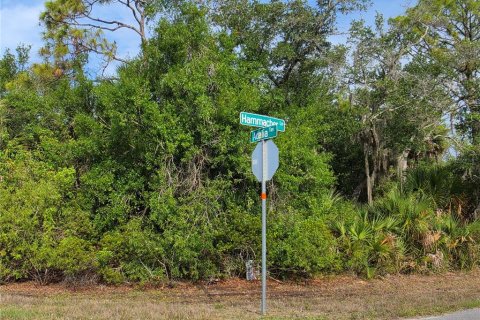 Land in Port Charlotte, Florida № 2159011 - photo 3