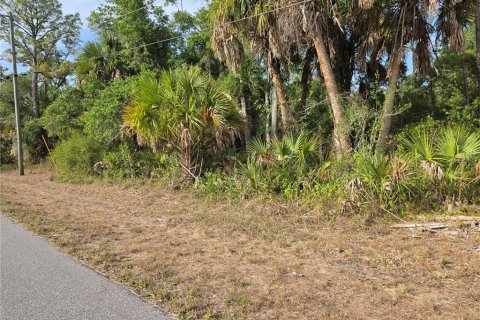 Land in Port Charlotte, Florida № 2159011 - photo 10