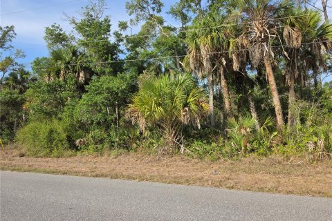 Land in Port Charlotte, Florida № 2159011 - photo 11