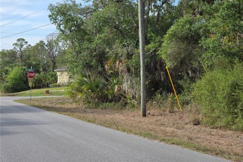 Land in Port Charlotte, Florida № 2159011 - photo 7