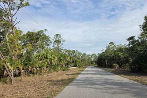 Land in Port Charlotte, Florida № 2159011 - photo 9
