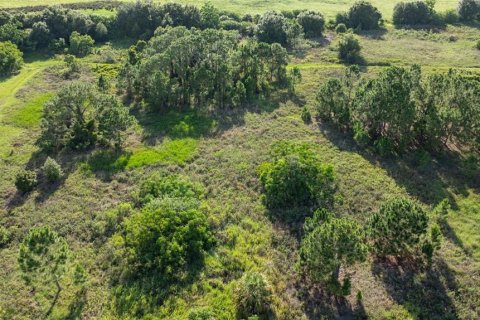 Land in Sebring, Florida № 2164195 - photo 13