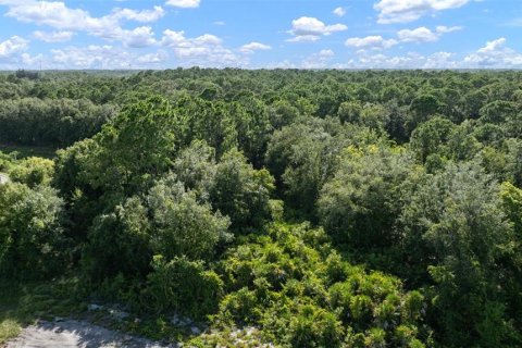 Land in Sebring, Florida № 2164195 - photo 2
