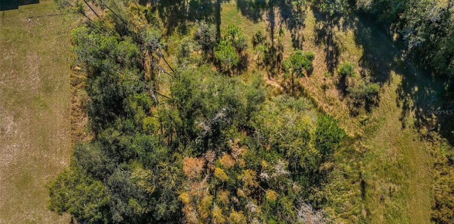 Terrain à Palm Harbor, Floride № 2298609