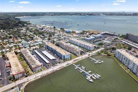 Condo in Gulfport, Florida, 1 bedroom  № 1771374 - photo 28