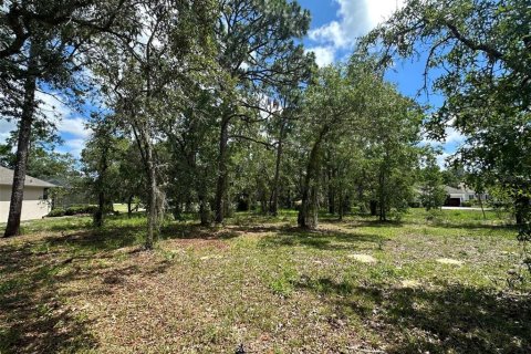 Terrain à vendre à Homosassa, Floride № 2162451 - photo 6
