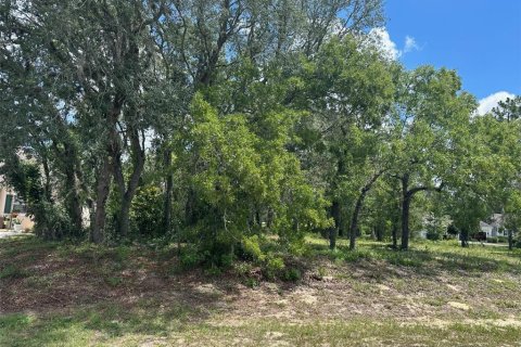 Terrain à vendre à Homosassa, Floride № 2162451 - photo 5
