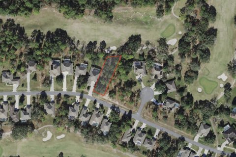 Terrain à Homosassa, Floride № 2162451