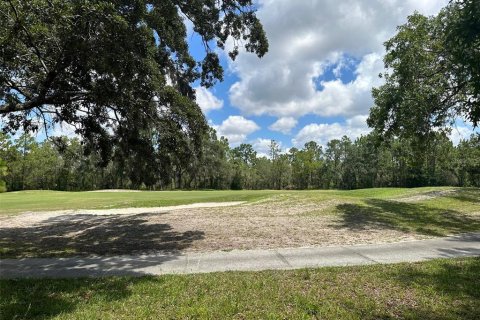 Terrain à vendre à Homosassa, Floride № 2162451 - photo 4