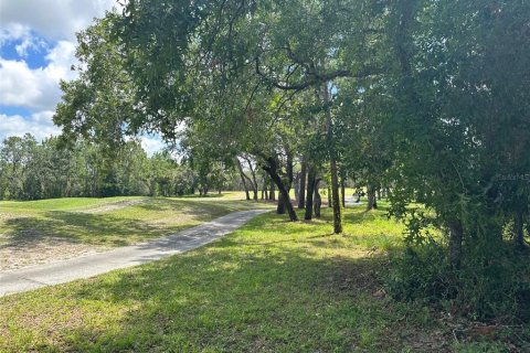 Terrain à vendre à Homosassa, Floride № 2162451 - photo 2