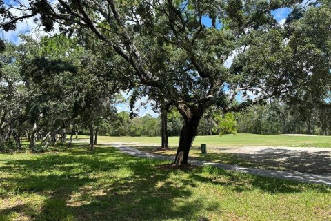 Terrain à vendre à Homosassa, Floride № 2162451 - photo 3