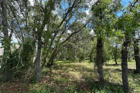 Terrain à vendre à Homosassa, Floride № 2162451 - photo 7