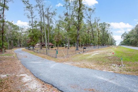 House in High Springs, Florida 2 bedrooms, 151.99 sq.m. № 1517245 - photo 3
