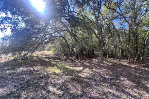 Commercial property in Homosassa, Florida 285.21 sq.m. № 2425709 - photo 12