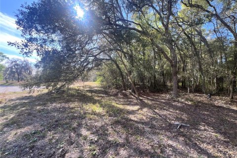 Commercial property in Homosassa, Florida 285.21 sq.m. № 2425709 - photo 10