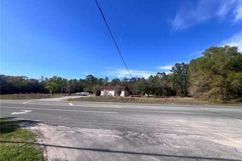 Commercial property in Homosassa, Florida 285.21 sq.m. № 2425709 - photo 17