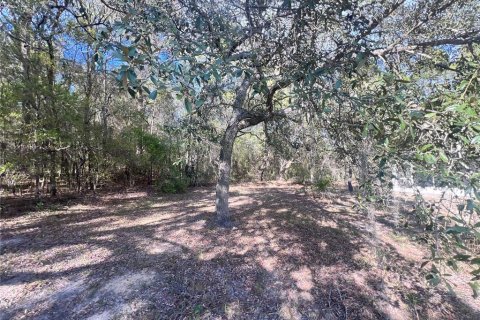 Commercial property in Homosassa, Florida 285.21 sq.m. № 2425709 - photo 11