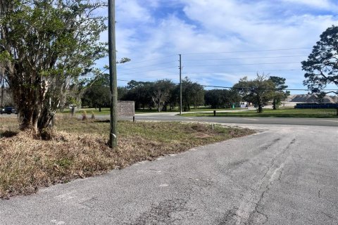 Commercial property in Homosassa, Florida 285.21 sq.m. № 2425709 - photo 14