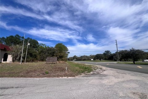 Commercial property in Homosassa, Florida 285.21 sq.m. № 2425709 - photo 22